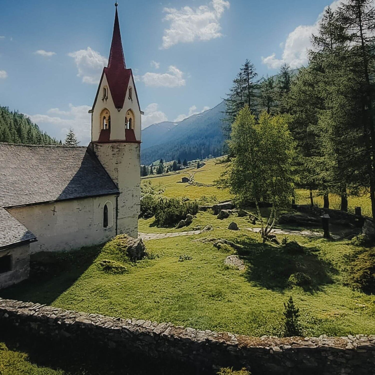 Lois Miele di Fiori 500g